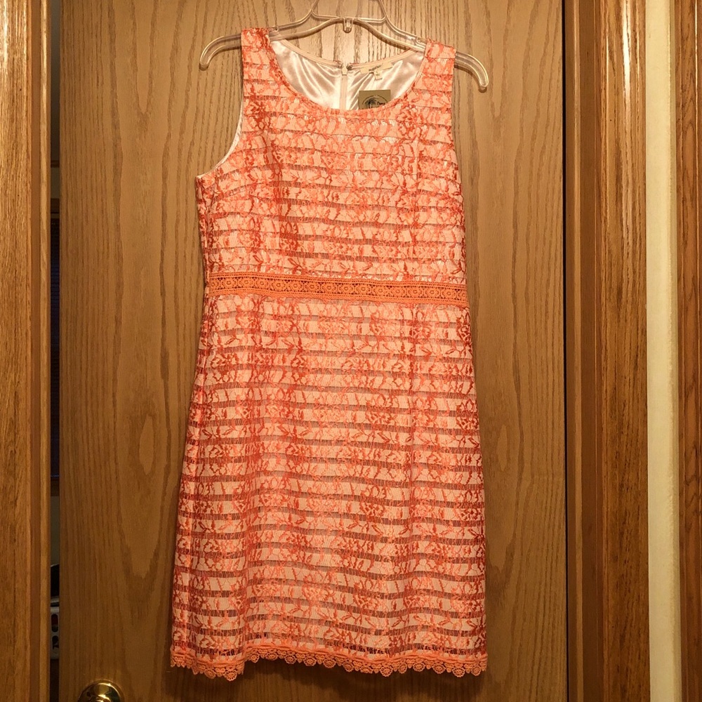NWT Orange/White Lace Dress